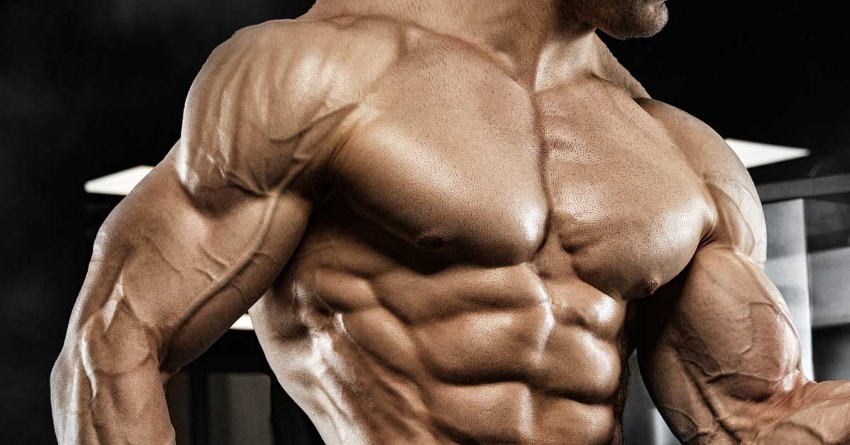 The 6 Basic Principles of Muscle Growth