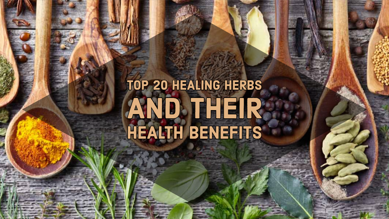 Top 20 Healing Herbs and Their Health Benefits