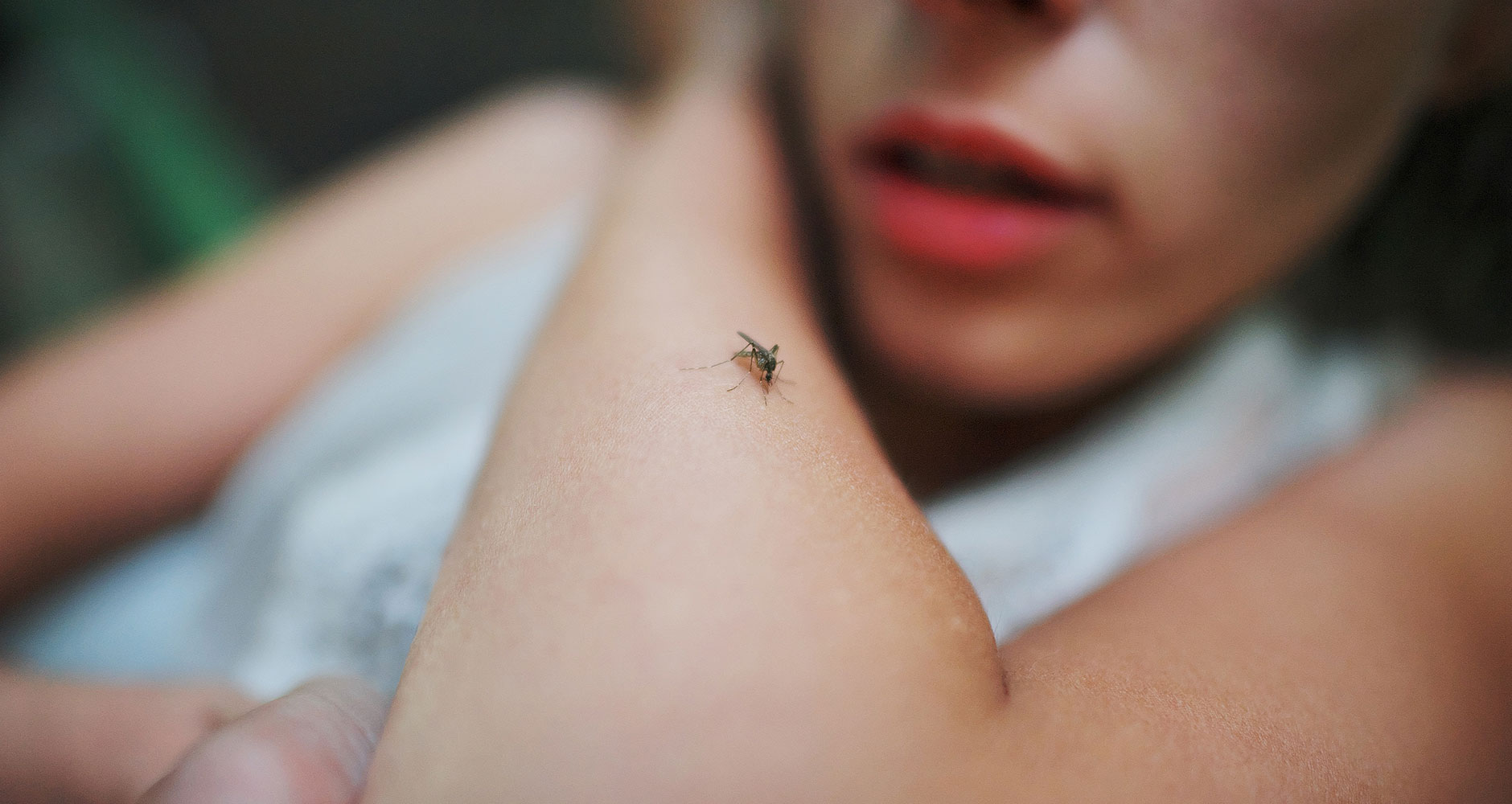 Are You a Mosquito Magnet? 5 Things You Are Doing Wrong
