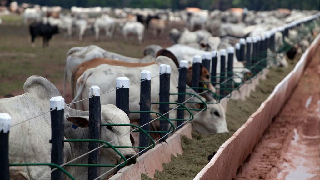 8 Surprising Benefits Of Not Eating Meat Anymore