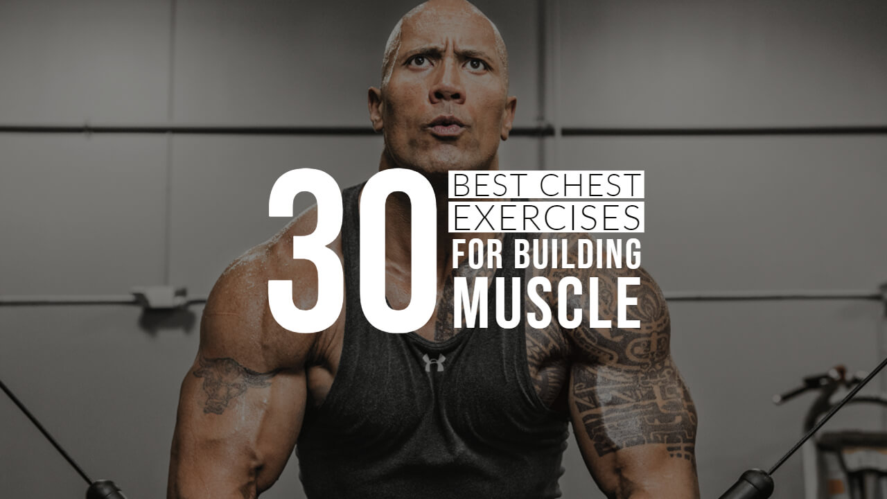 30 Best Chest Exercises of All Time